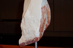 Gebroken nek (verkocht)