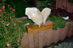 Hart albast (verkocht)