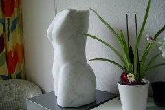 Torso marmer Statuario Venato